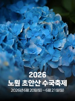 2026 노원 초안산 수국축제