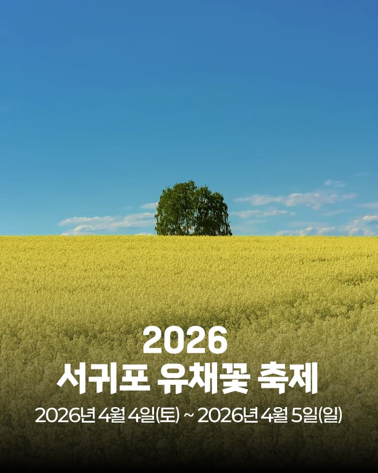 2026 서귀포 유채꽃 축제 행사 포스터