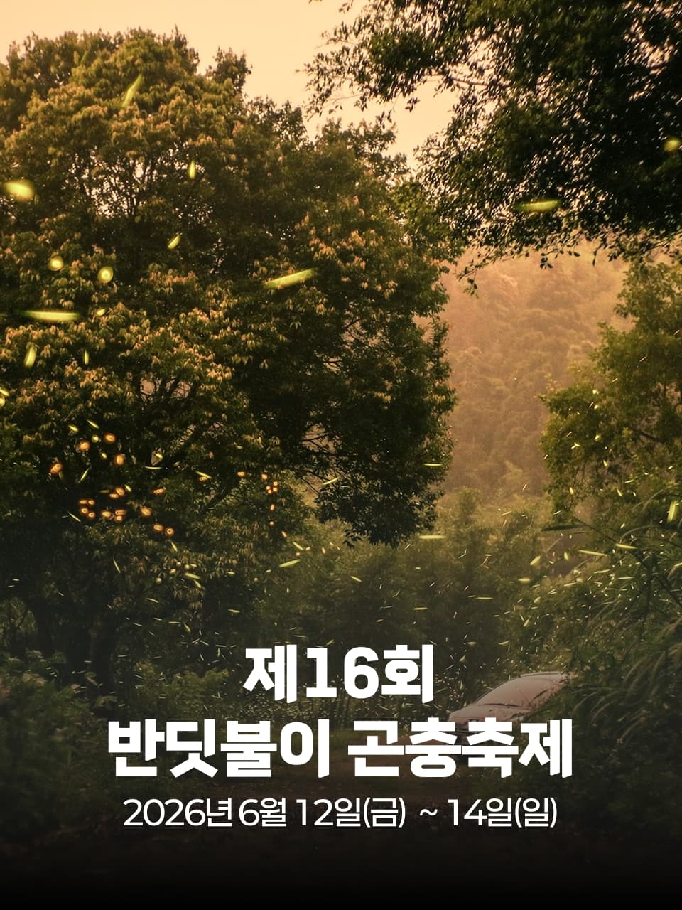 제16회 반딧불이 곤충축제