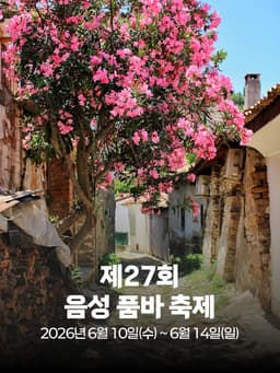 제27회 음성 품바 축제