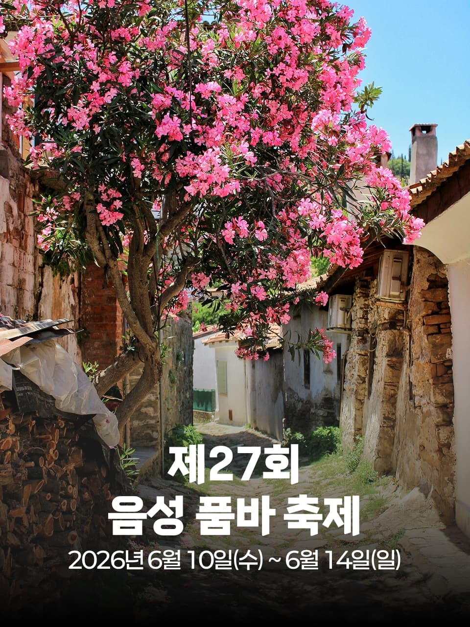 제27회 음성 품바 축제