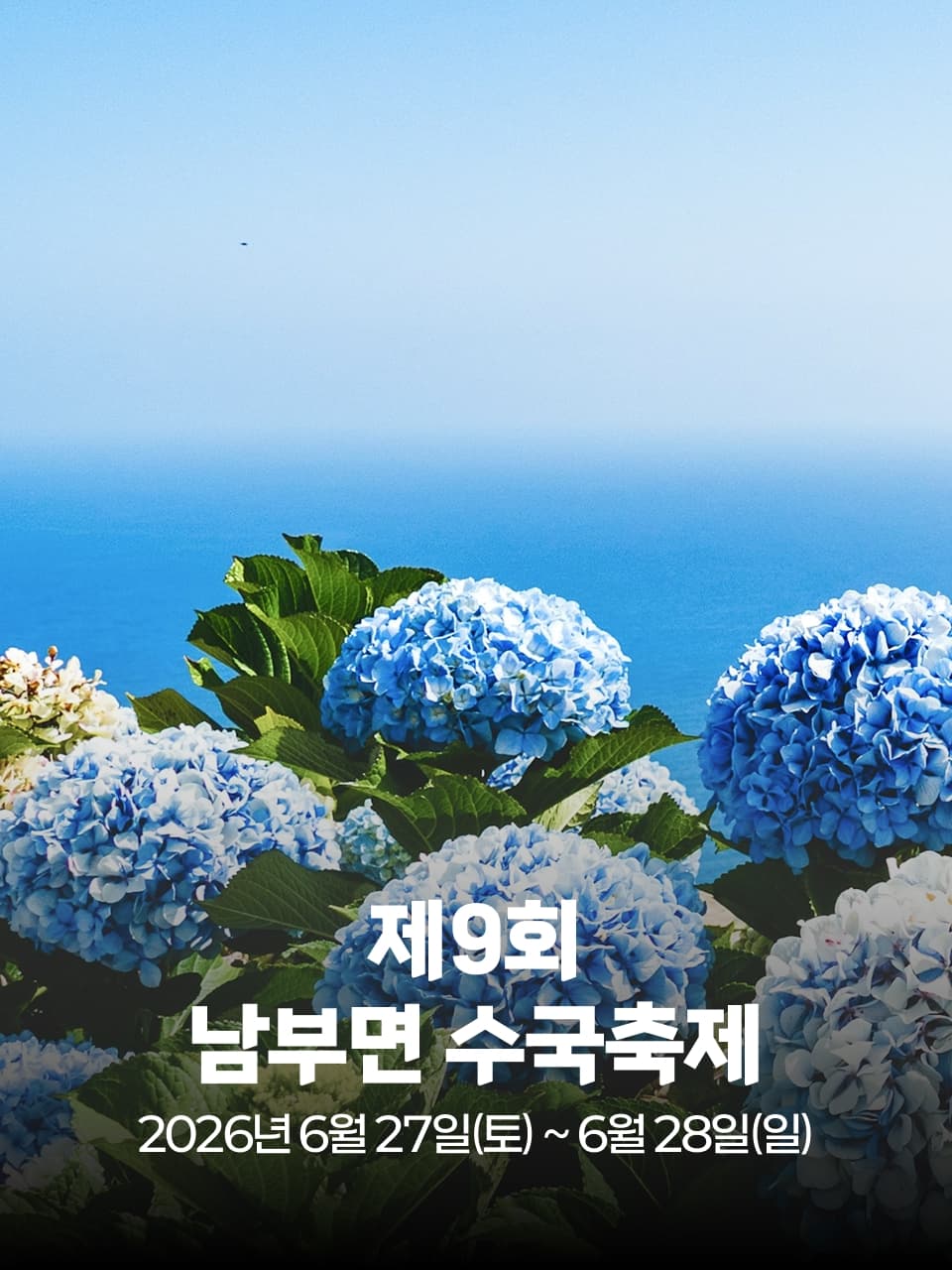 제9회 남부면 수국축제