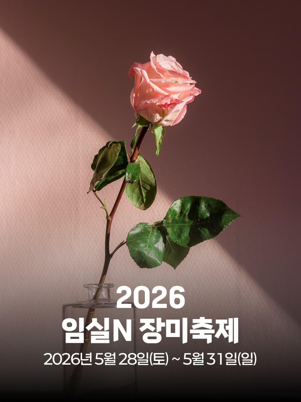 2026 임실N 장미축제