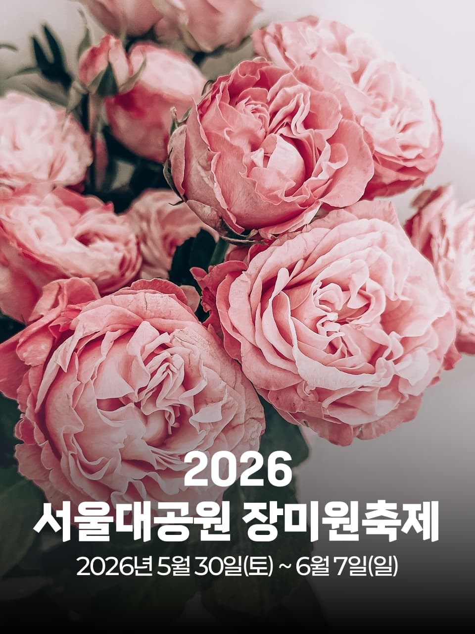2026 서울대공원 장미원축제